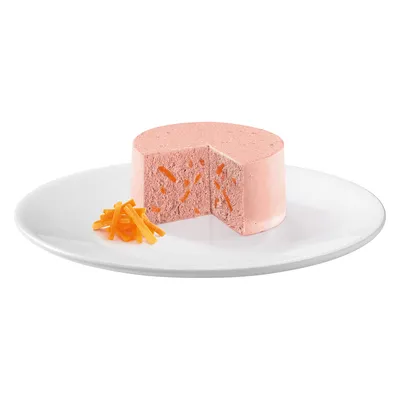 Portion de pâtée rose en forme de cylindre avec morceaux orange, présentée sur une assiette blanche avec des lamelles orange à côté. Aucun emballage visible.