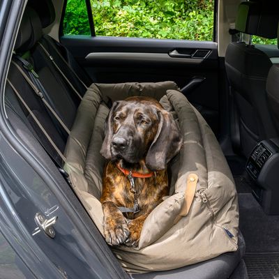 Dog lying in a padded car seat on the back seat, seat belt visible. Product application for safe transport in the car.