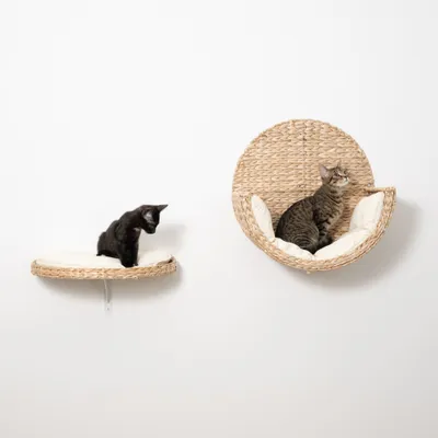 Zwei Wandliegen aus geflochtenem Material mit weißen Kissen, jeweils von einer Katze genutzt. Zeigt Anwendung der Liegeflächen an der Wand. Zwei Wandliegen aus geflochtenem Material mit weißen Kissen, jeweils von einer Katze genutzt. Zeigt Anwendung der Liegeflächen an der Wand.