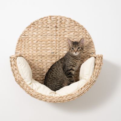 Circuito para gatos Modern Living Manarola, beige - Cama de pared Manarola