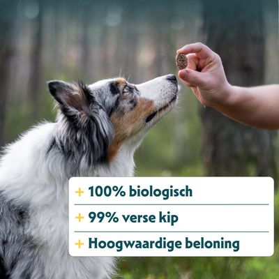 Hand houdt een snack voor de hond. Tekst: 100% biologisch, 99% verse kip, hoogwaardige beloning.