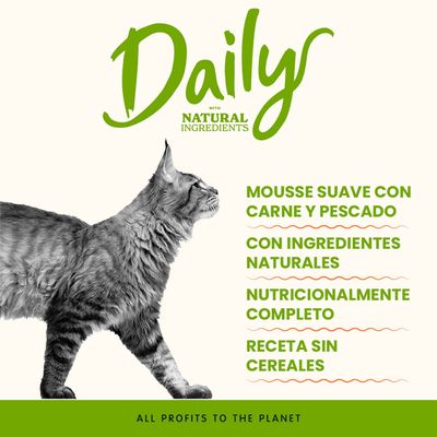Almo Nature Daily Menu 6 x 85 g - Mousse con salmón