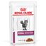 Royal Canin Renal Veterinary umido gatto 12 x 85 g Pesce