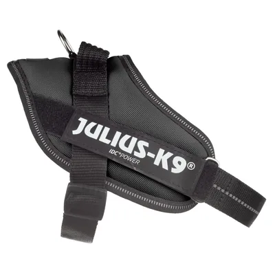 Black harness with adjustable straps and metal ring, featuring visible text: JULIUS-K9 IDC Power. Black harness with adjustable straps and metal ring, featuring visible text: JULIUS-K9 IDC Power.