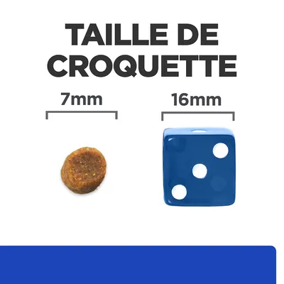 Taille de croquette : 7 mm à côté d’un dé bleu de 16 mm pour comparaison visuelle