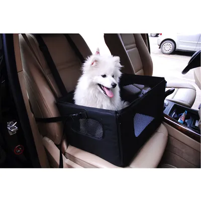 Transportbox aus schwarzem Stoff mit Netzfenstern, auf Autositz befestigt. Zeigt weissen Hund darin sitzend.