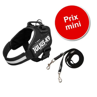 Harnais noir JULIUS-K9 avec poignée et bande réfléchissante, laisse noire à mousquetons. Cercle rouge avec texte : Prix mini.
