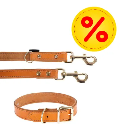 Hondenriem en halsband van bruin leer met metalen sluitingen. Geel kortingssimbool met rood procentteken.