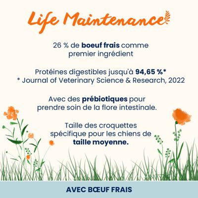 Life Maintenance : 26 % de bœuf frais comme ingrédient principal, protéines jusqu'à 94,65 % digestibles, avec des prébiotiques pour la flore intestinale, croquettes spécialement conçues pour les chiens de taille moyenne. Avec du bœuf frais.