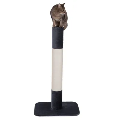 Cat tree with black base and sisal post, a cat sitting on top. Suitable for scratching and climbing.