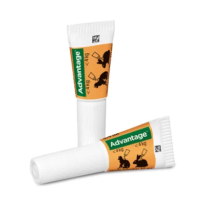 Advantage® für Katzen und Zierkaninchen - 4 Pipetten x 0,4 ml (< 4kg)