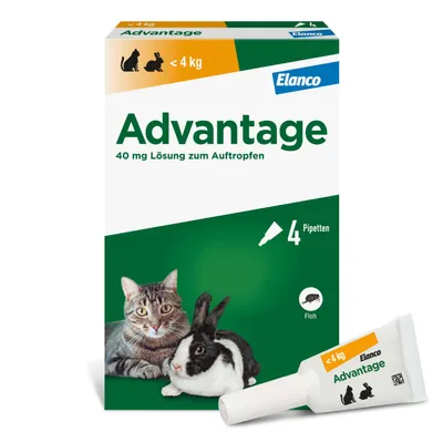 Advantage® für Katzen und Zierkaninchen - 4 Pipetten x 0,4 ml (< 4kg)