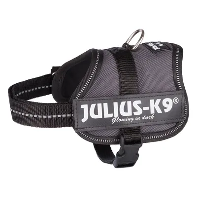 Julius-K9 harness, grey with reflective stripes and 'Glowing in dark' inscription.