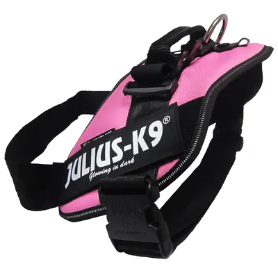 JULIUS-K9 Glowing in dark feliratú rózsaszín kutyahám, fekete pántokkal és fém karikával a tetején