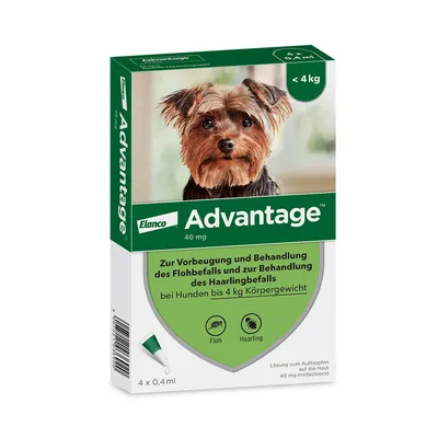 Advantage® 40 für Hunde, bis 4 kg - Sparpaket: 2 x 4 Pipetten x 0,4 ml
