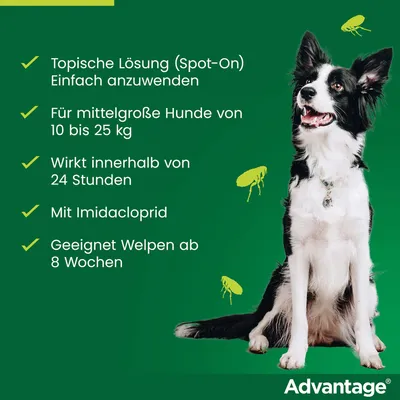 Advantage: Topische Lösung (Spot-On), einfach anzuwenden, für mittelgroße Hunde 10-25 kg, wirkt in 24 Stunden, mit Imidacloprid, geeignet für Welpen ab 8 Wochen.