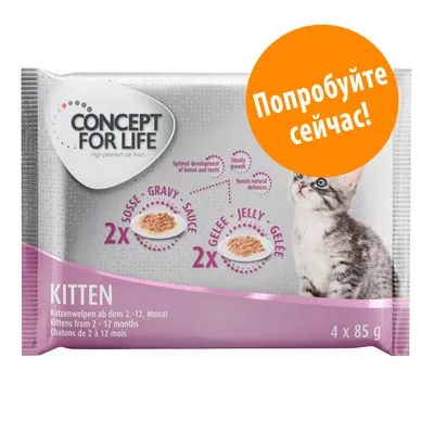 CONCEPT FOR LIFE Kitten, 4 x 85 г, для котят 2–12 месяцев; 2x соус, 2x желе. Текст: Попробуйте сейчас!