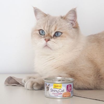 Lot économique GimCat ShinyCat Filet en gelée 24 x 70 g - poulet