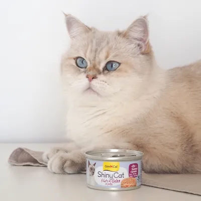 GimCat ShinyCat Filet i gelé 12 x 70 g - Tonfisk