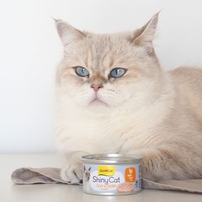 GimCat ShinyCat in Gelei 6 x 70 g Kattenvoer