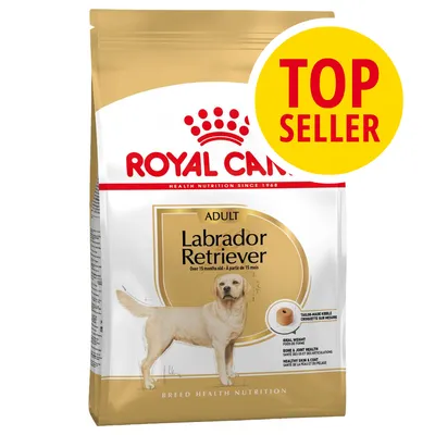 Royal Canin Adult Labrador Retriever, sacco di crocchette con scritta TOP SELLER in giallo e rosso. Immagine di un Labrador chiaro sulla confezione.