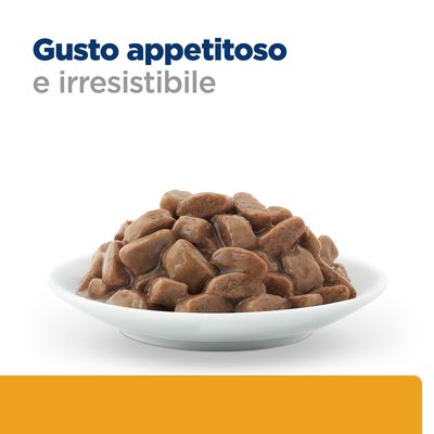 Testo visibile: Gusto appetitoso e irresistibile. Ciotola bianca con bocconcini di cibo umido marrone per pet.