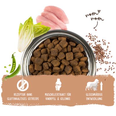 Rezeptur ohne glutenhaltiges Getreide, Muschelextrakt für Knorpel und Gelenke, gleichmäßige Entwicklung. Zutaten: Erbsen, Chicorée, Huhn, Leinsamen.