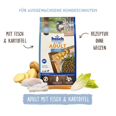 bosch Adult mit Fisch & Kartoffel, Rezeptur ohne Weizen, für ausgewachsene Hunde. Abbildung von Trockenfutter, Fisch, Kartoffeln und Chicorée.