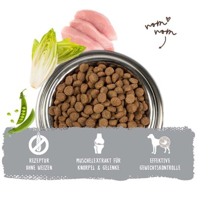 Futternapf mit Trockenfutter, Erbsen, Chicorée und Fleisch. Text: Rezeptur ohne Weizen, Muschelextrakt für Knorpel & Gelenke, effektive Gewichtskontrolle.