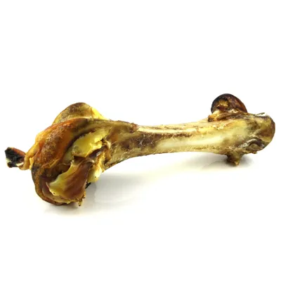 Os naturel entier pour chien, sans emballage visible, aspect brut avec morceaux de viande séchée attachés. Aucun texte ou marque apparente. Os naturel entier pour chien, sans emballage visible, aspect brut avec morceaux de viande séchée attachés. Aucun texte ou marque apparente.