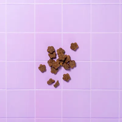 Pooch & Mutt Calm & Relaxed Meaty Treats with Turkey, Hemp & Postbiotics - Multibuy: 3 x 120g