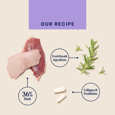 Pooch & Mutt Teeth & Gums Meaty Treats with Duck, Rosemary & Postbiotics - 120g