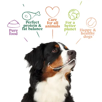 Pure food, perfect protein and fat balance, care for all animals, for a better planet, happy and healthy dogs. Text with icons above a dog image.