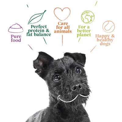 Image shows benefits: pure food, perfect protein and fat balance, care for all animals, for a better planet, happy and healthy dogs.