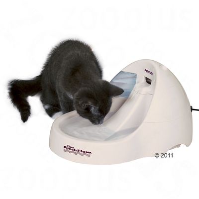 Fontaine à eau beige Petmate Deluxe Fresh Flow, chat noir buvant, logo visible sur le devant de la fontaine. Appareil branché par câble électrique.