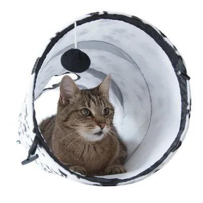 Gato atigrado marrón tumbado en un túnel de juego blanco con bola negra colgada de una cuerda.