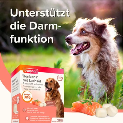 Beaphar Bonbons mit Lachsöl, unterstützt die Darmfunktion, Omega 3 & 6, für Haut und Fell. Verpackung zeigt Hund und Produktdetails.