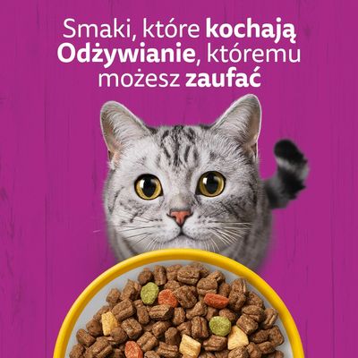 Whiskas 1+ Sterile z kurczakiem