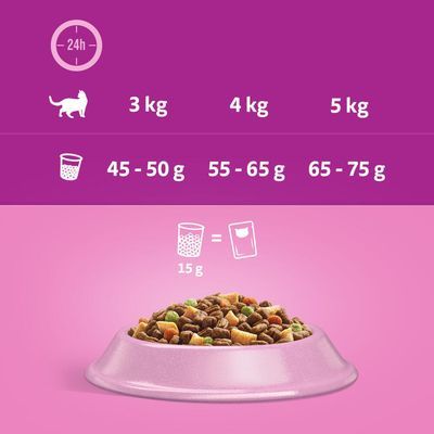 Voedingsadvies kat: 3 kg 45–50 g, 4 kg 55–65 g, 5 kg 65–75 g per 24 uur. 15 g droogvoer komt overeen met één portie natvoer.