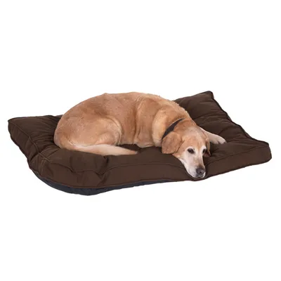 Coussin pour chien marron, grand modèle, avec un chien beige allongé dessus. Matière textile visible, surface moelleuse et épaisse.