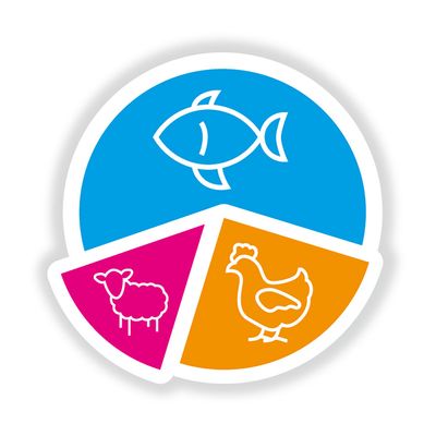 Smølke Adult fisk & ris