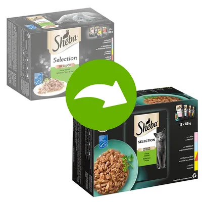 Sheba Selection in Sauce, variedad fina con salmón, pescado blanco, pollo y ternera. El envase muestra 12 sobres de 85g. Certificado MSC visible.