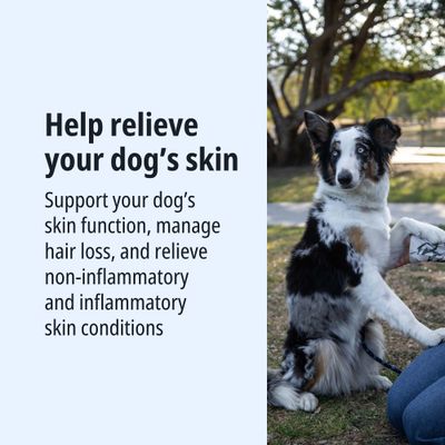 Help relieve your dog’s skin. Support your dog’s skin function, manage hair loss, and relieve non-inflammatory and inflammatory skin conditions.