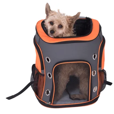 Zaino da trasporto grigio e arancione con finestre a rete e fori di ventilazione, cane che guarda fuori dall'apertura superiore.