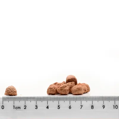 Close-up of brown food pieces next to a ruler with centimetre markings for size determination.