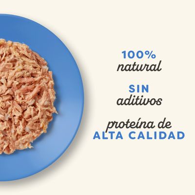 Applaws Cat Natural rybí výběr ve vývaru 24 x 70 g - 4 varianty