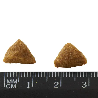 Two triangular dry pet food kibbles shown above a black ruler with millimetre and centimetre markings, each kibble about 1.5 cm wide.