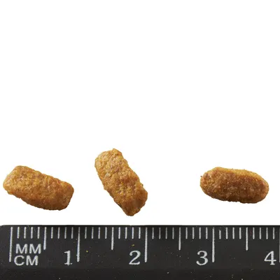 Primer plano de tres croquetas marrones con comparación de tamaño mediante una regla en centímetros.