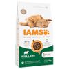IAMS Advanced Nutrition Adult met Lam 3 kg