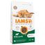 IAMS Advanced Nutrition Adult met Lam 3 kg